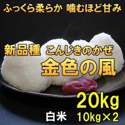 ふるさと納税 奥州市 新米 金色の風(こんじきのかぜ)白米 20kg(10kg×2) 令和7年産米 20キロ[AC034]