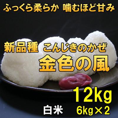 ふるさと納税 奥州市 新米 金色の風(こんじきのかぜ)白米 12kg(6kg×2) 令和7年産米 12キロ[AC031]
