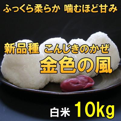 ふるさと納税 奥州市 新米 金色の風(こんじきのかぜ)白米 10kg 岩手県奥州市 令和7年産米 10キロ[AC030]