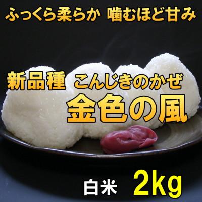 ふるさと納税 奥州市 新米 金色の風(こんじきのかぜ)白米 2kg 岩手県奥州市 令和7年産米 2キロ[AC025]