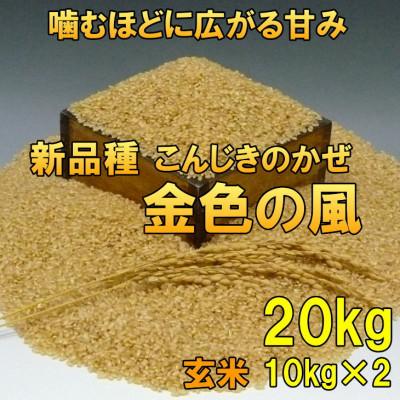 ふるさと納税 奥州市 新米 金色の風(こんじきのかぜ)玄米 20kg(10kg×2) 令和7年産米 20キロ[AC034]