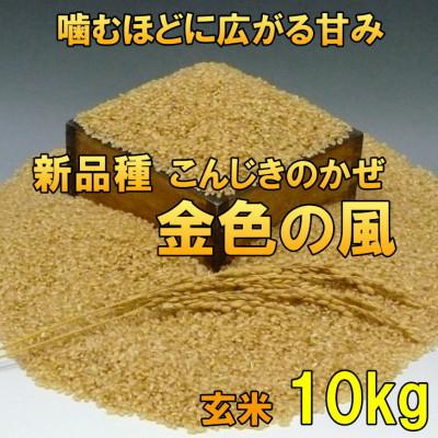 ふるさと納税 奥州市 新米 金色の風(こんじきのかぜ)玄米 10kg 岩手県奥州市 令和7年産玄米 10キロ[AC030]