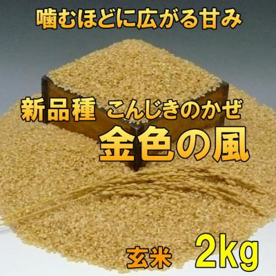 ふるさと納税 奥州市 新米 金色の風(こんじきのかぜ)玄米 2kg 岩手県奥州市 令和7年産玄米 2キロ[AC025]