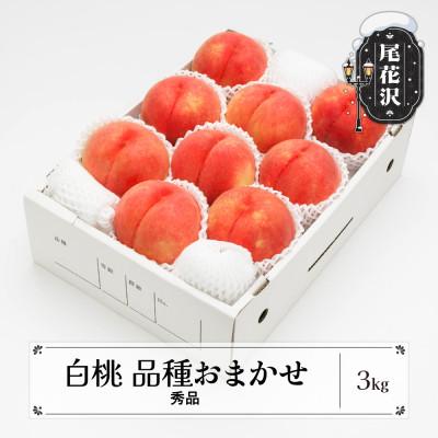 ふるさと納税 尾花沢市 先行受付 白桃 秀品 品種おまかせ 3kg 化粧箱入 令和8年産 山形県産 ns-mohtx3