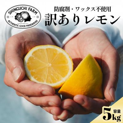 ふるさと納税 八幡浜市 [太陽の恵みをギュッと凝縮]訳あり 愛媛レモン5kg 防腐剤・ワックス不使用[C70-22]