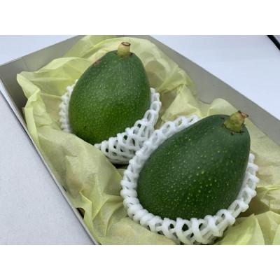 ふるさと納税 水俣市 【数量限定】アボカド 苗木 ベーコン種 接ぎ木苗 1本(約30cm・5〜6号) 耐寒性 家庭菜園 |  | 03