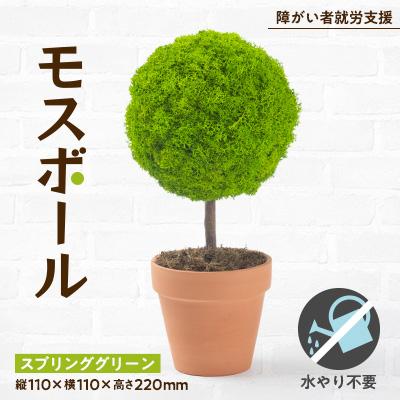 ふるさと納税 柴田町 モスボール(色:スプリンググリーン)