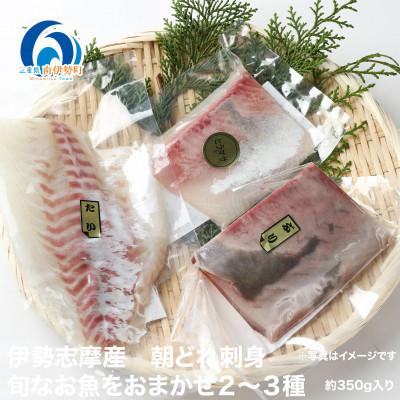 ふるさと納税 南伊勢町 伊勢志摩産 朝どれ新鮮 2〜3種 約350g お刺身用 おまかせセット 城水産が真空でお届け