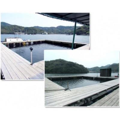 ふるさと納税 南伊勢町 【4名】すみちゃんの釣り堀 伊勢志摩で釣り体験 城水産がお土産付きの利用券を全国へお届けします |  | 01