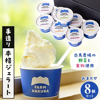 ふるさと納税 白馬村 白馬農場の農場の野菜や果物を中心に手造りした本格ジェラート おまかせ8個セット