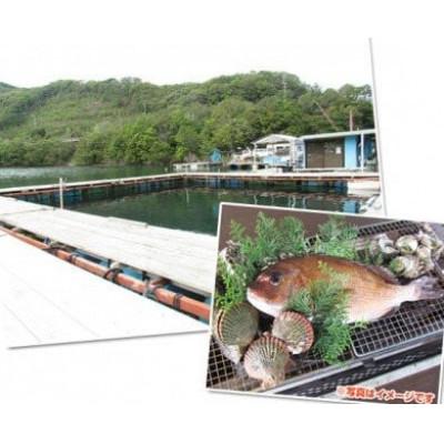 ふるさと納税 南伊勢町 すみちゃんの釣り堀 お土産付 ペア 5回分 伊勢志摩で釣り体験 城水産がご利用券を全国へお届けします