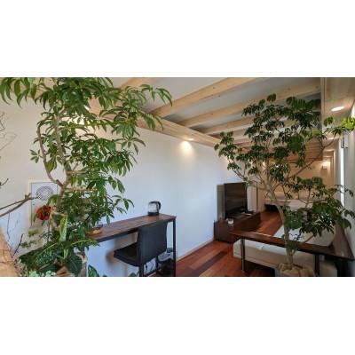 ふるさと納税 下妻市 茨城県サウナ付プライベートホテル 平日2名様 1泊2日 宿泊夕飯チケット