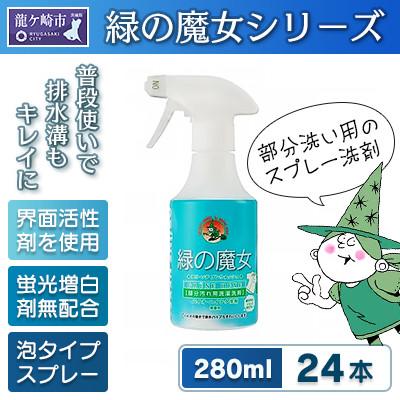 ふるさと納税 龍ケ崎市 新製品 2024年春頃発売 部分洗い洗剤 無香料 緑の魔女エリソデプレウォッシュ 280mL×24