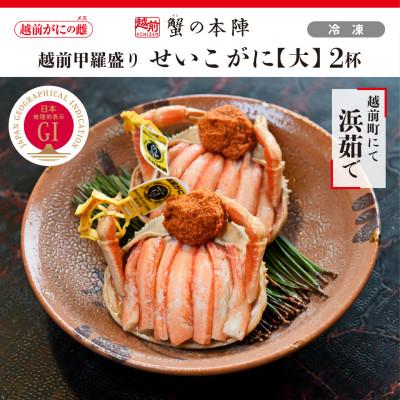 ふるさと納税 越前町 越前甲羅盛り 浜茹で[せいこがに 大]2杯セット