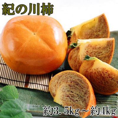 ふるさと納税 紀美野町 [希少]紀の川柿(たねなし)約3.5〜4kg・秀品(紀美野町)