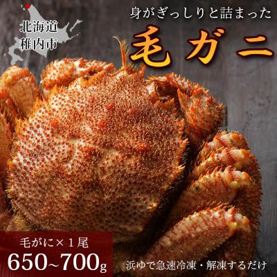 ふるさと納税 稚内市 [ボイル済み急速冷凍]身がぎっしりと詰まった毛ガニ650〜700g×1尾