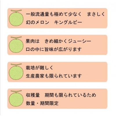 ふるさと納税 富良野市 【2027年発送】【数量・期間限定】ふらのメロン　キングルビー　秀大2玉(4kg以上) |  | 03