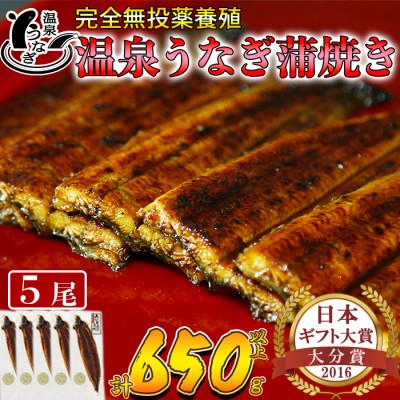 ふるさと納税 杵築市 温泉うなぎ蒲焼 5尾(130g以上サイズ)