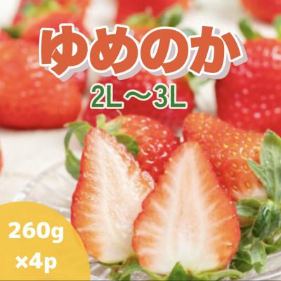 ふるさと納税 島原市 [2026年2月〜4月発送][数量限定]厳選いちご「ゆめのか(2〜3L)」260g×4パック