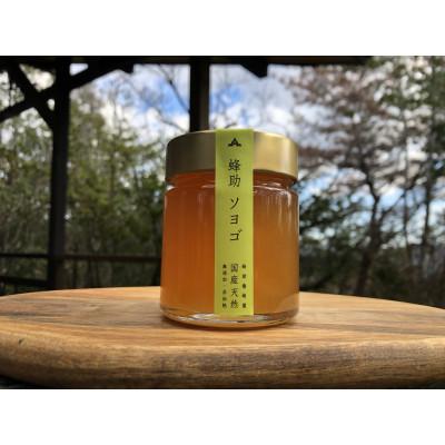 ふるさと納税 上郡町 [抗生物質不使用][非加熱]蜂助の季節のはちみつセット 240g×1本