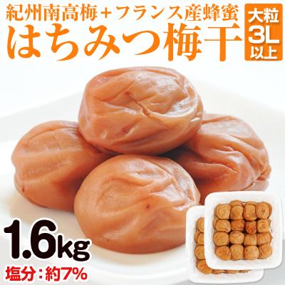 ふるさと納税 御坊市 はちみつ梅干し(紀州南高梅)1.6kg 大粒 3L以上 和歌山県産 | 