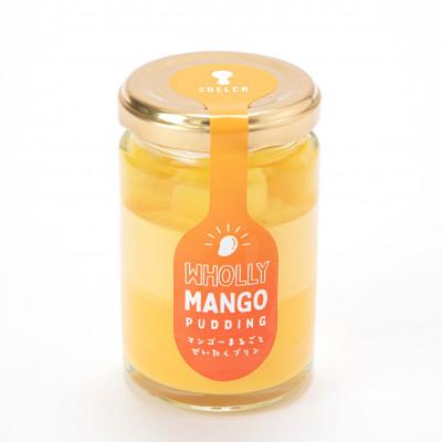 ふるさと納税 長崎市 まるごとマンゴー贅沢プリン6個セット