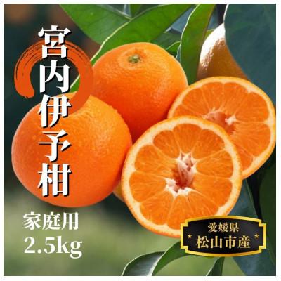 ふるさと納税 松山市 [宮内伊予柑]家庭用 約2.5kg [1月末〜3月中旬頃発送]