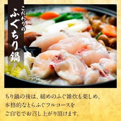 ふるさと納税 宇部市 【冷凍】国産とらふぐ刺身セット(4〜5人前)_2