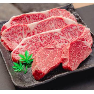 ふるさと納税 朝来市 [神戸牛]シャトーブリアン 150g×2枚・サーロイン 200g×3枚 計900g