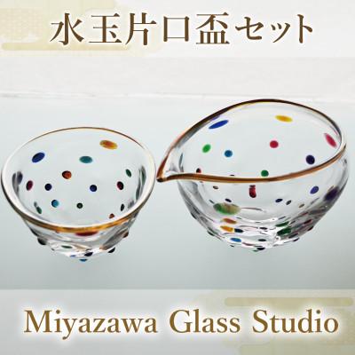 ふるさと納税 指宿市 水玉片口盃セット(077-1325)