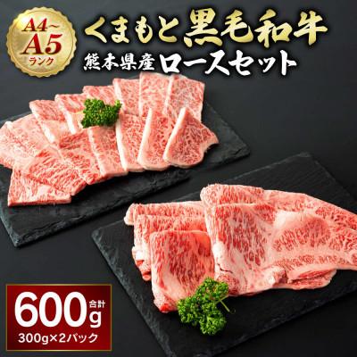 ふるさと納税 八代市 A4-A5 くまもと黒毛和牛 ロースセット 合計600g (焼肉用300g すき焼き用300g)