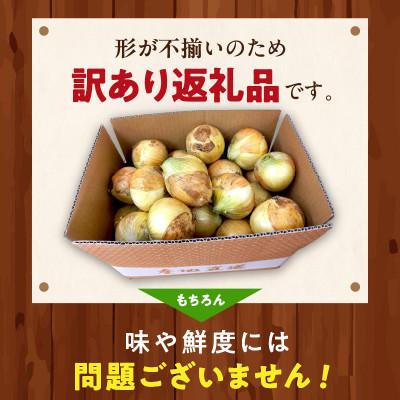 ふるさと納税 京丹後市 【訳あり】国産 新たまねぎ 7kg(約30〜40玉) 直売所直送わけあり玉ねぎ 不揃いですが新鮮の画像