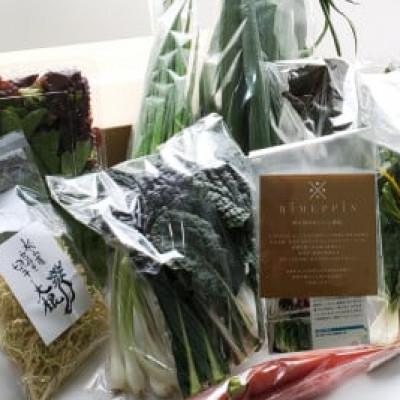 ふるさと納税 松山市 松山市産乾燥きくらげ&amp;旬野菜セット