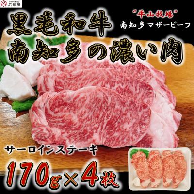 ふるさと納税 南知多町 [数量限定]牛肉 サーロインステーキ 170g×4枚 南知多マザービーフ 国産牛