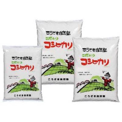 ふるさと納税 神崎町 こうざきコシヒカリ 玄米12kg