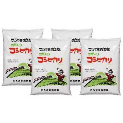 ふるさと納税 神崎町 こうざきコシヒカリ 白米20kg