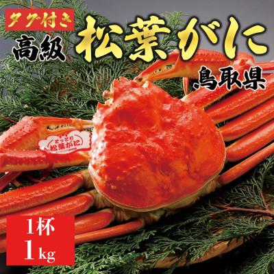 ふるさと納税 北栄町 [ボイル] [タグ付き]厳選松葉がに 特大1杯(1kg超×1杯)2025年11月発送