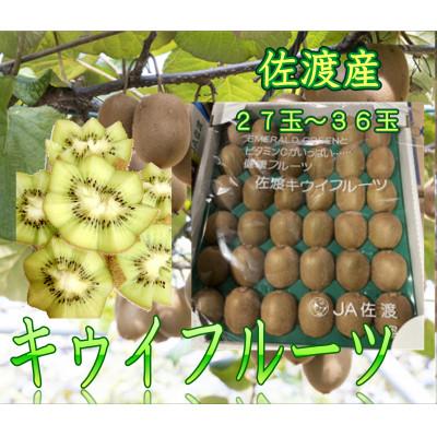 ふるさと納税 佐渡市 [2025年12月より順次発送]佐渡産 キウイフルーツ 27玉〜36玉