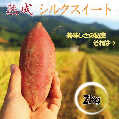 ふるさと納税 新庄市 栽培期間中、農薬・化学肥料不使用 熟成『シルクスイート』 2kg