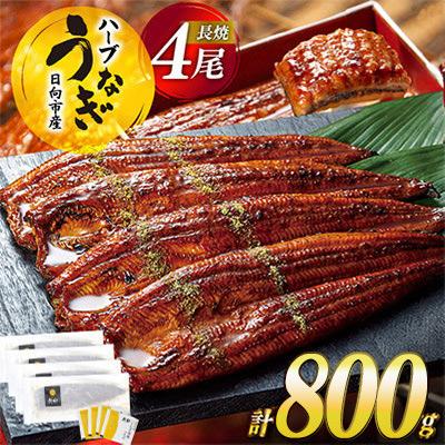 ふるさと納税 日向市 宮崎県日向市産 鰻楽ハーブうなぎ蒲焼4尾(計800g)