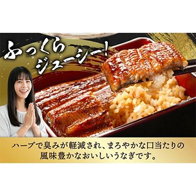 ふるさと納税 日向市 宮崎県日向市産　鰻楽ハーブうなぎ蒲焼4尾(計680g) |  | 01