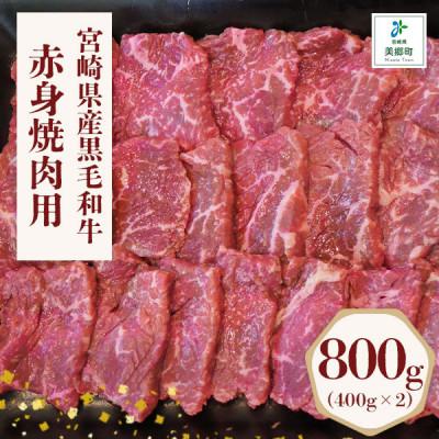 ふるさと納税 美郷町 宮崎県産黒毛和牛赤身焼肉用 800g(400g×2)