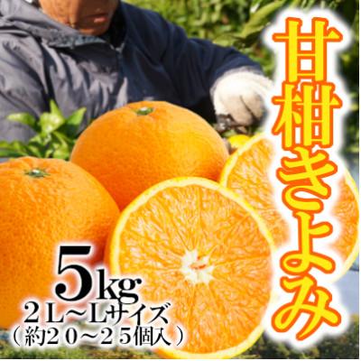 ふるさと納税 八幡浜市 「甘柑きよみ」5kg[C79-27]