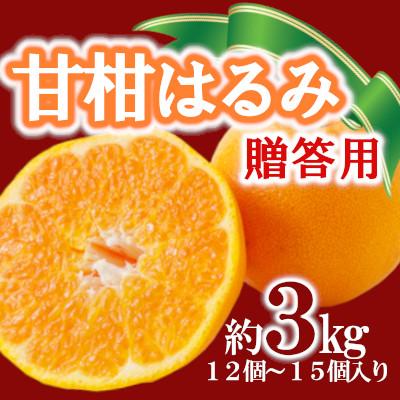 ふるさと納税 八幡浜市 「甘柑はるみ」贈答用3kg[C79-23]