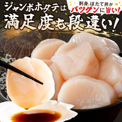 ふるさと納税 別海町 【希少なジャンボホタテ】LL-Lサイズ ほたて貝柱500g 刺身用 北海道野付ならではの大玉 |  | 01