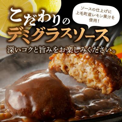 ふるさと納税 上毛町 デミグラスソースハンバーグ　150g×10個セット |  | 01