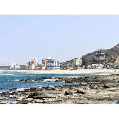 ふるさと納税 鶴岡市 山形県鶴岡市内共通宿泊券[10,000 円×1枚]