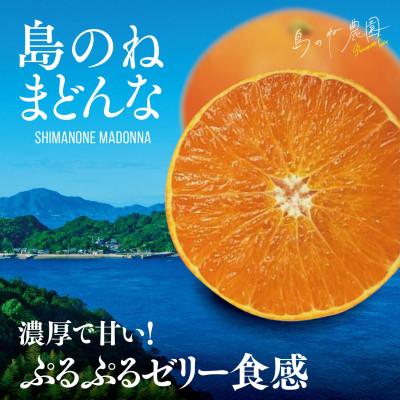 ふるさと納税 今治市 [島のね農園ブランド]先行受付 島のねまどんな(4kg) [K001620]