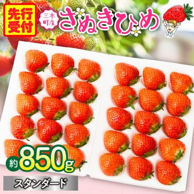 ふるさと納税 三木町 『苺音スタンダード』春の大粒さぬきひめいちご約850g[2026年3月〜5月配送]