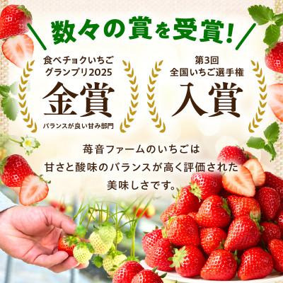ふるさと納税 三木町 『苺音スタンダード』春の大粒さぬきひめいちご約850g【2027年3月〜5月配送】 |  | 02